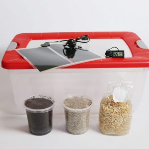 Kit Cultivo Xl