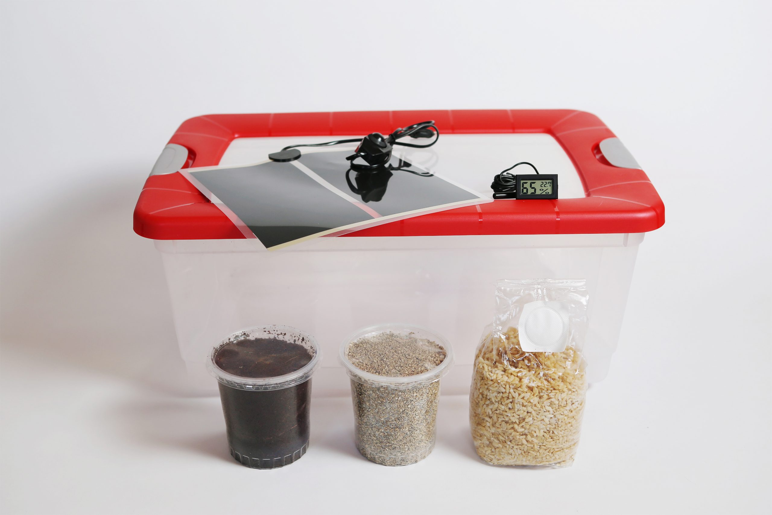Kit Cultivo Xl