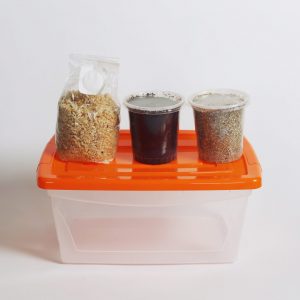 Kit De cultivo M